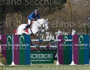 Garcia Blue Boy TosTour 2013- S5 7605 : Arezzo Equestrian Centre, Blue Boy, Garcia Juan Carlos, Toscana Tour 2013, foto di Stefano Secchi ©